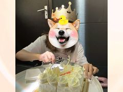 -BLACKSWAN黑天鹅(新希望店)