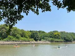 -海珠湖公园