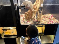 -太平洋海底世界