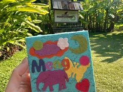 -大象粑粑造纸公园