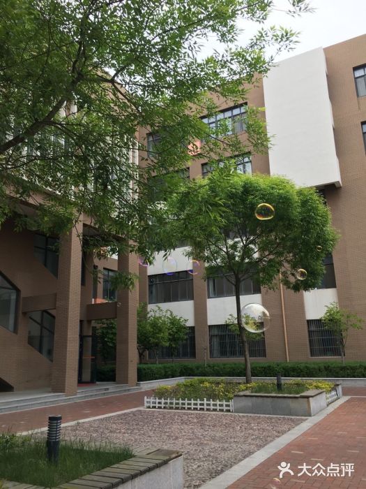山东省青岛第二中学(江西路分校)图片