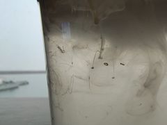 -抱抱地球咖啡馆(国家海洋博物馆店)