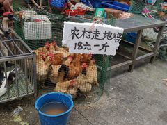 -永汉农贸综合市场