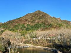 -遥桥古堡