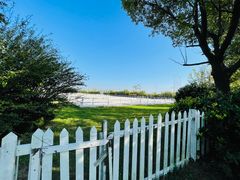 -上海崇明金茂凯悦酒店