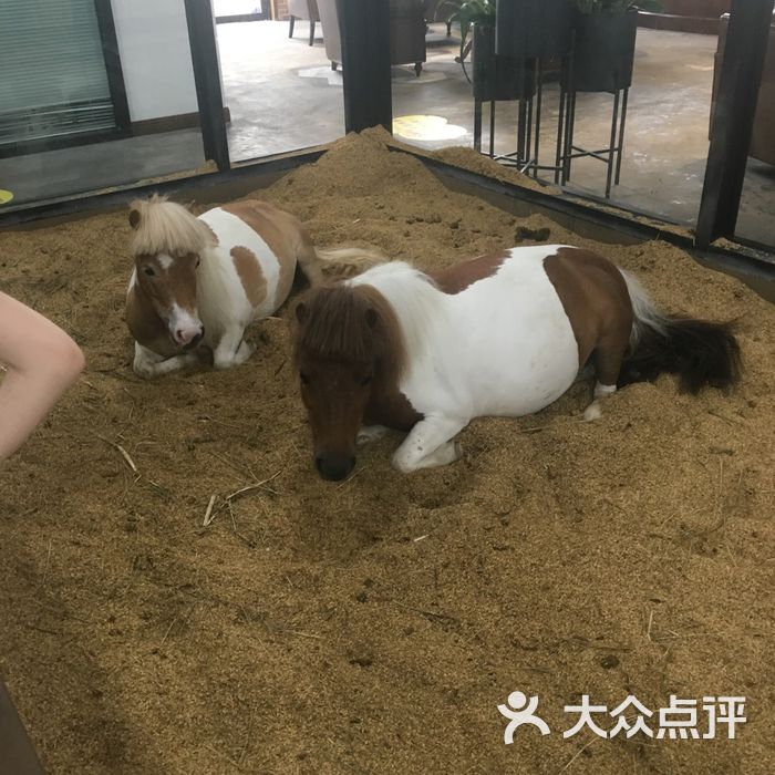 佳伯马术俱乐部