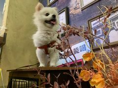 -胡桃里音乐酒馆(仓山万达店)