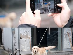 -余氏豆腐包老店(东直街店)