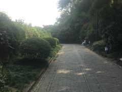 -东关历史文化旅游区-东门遗址