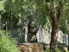 -北京野生动物园