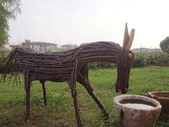 -田园东方蜜桃村的田野营地