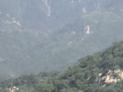 -泰山风景名胜区-虎山公园