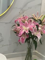 -亚太瑜伽普拉提学院