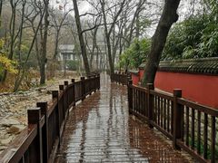 -崂山巨峰游览区
