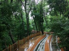 -参仙谷生态旅游度假区