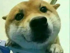 -意格蛋糕