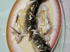 -金河半岛园林酒家(金融城店)