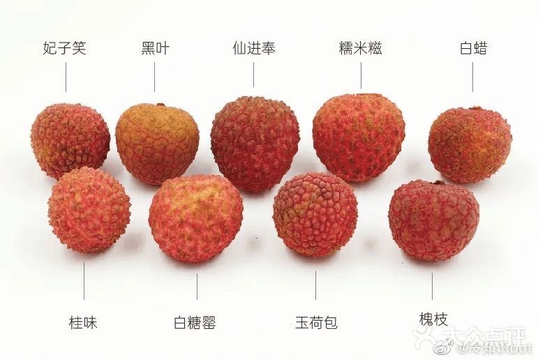 荔枝接棒