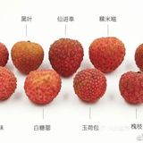 荔枝接棒