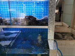 水产区-海鲜皇宫(景泰翰林店)