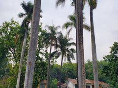 -广东外语外贸大学(白云山校区)