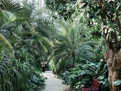 -祥源·阜阳生态乐园