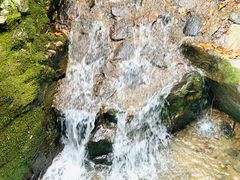 -藏龙百瀑风景区