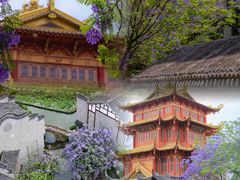 -龙潭水乡
