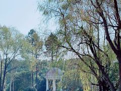 -大宁公园