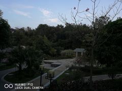 -清湖文化公园
