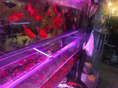 -双季花艺园艺市场(浦东店)