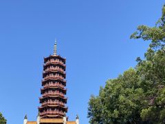 -大雁山风景区