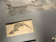 -辽宁古生物博物馆
