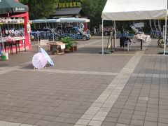 -洛阳市隋唐城遗址植物园