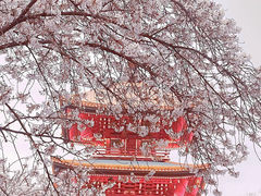 -东湖生态旅游风景区