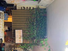 -新疆狼爷烤肉(宋庄店)