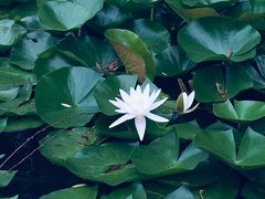 -杭州师范大学(下沙校区)