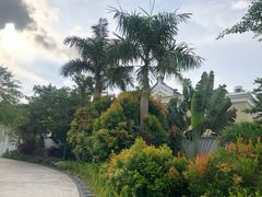 -富国岛翡翠湾 JW 万豪度假酒店