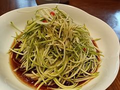 生呛西葫芦丝-红城阁·上海味道(四平路店)