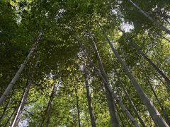 -九龙潭景区