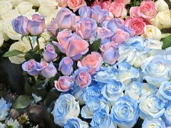 -循礼门鲜花花市(武汉循礼门店)