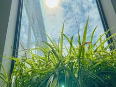 -唐咖精品咖啡(大理古城手冲店)