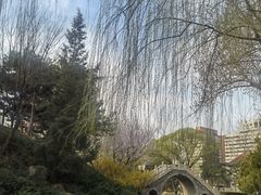 -团结湖公园