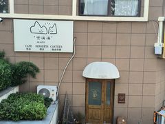 -Mado兜满满