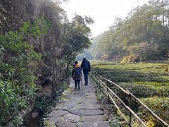 -武夷山风景名胜区-虎啸岩