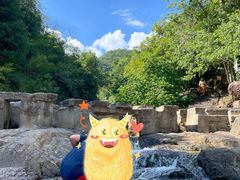 -广州白江湖森林公园