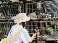 -樂桃源奉贤黄桃种植采摘基地