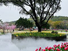 -无锡梅园公园