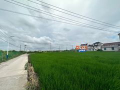 -南汇水蜜桃采摘(大团店)