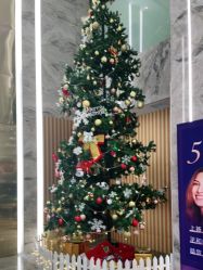 -脸博士医疗美容·眼鼻整形·抗衰中心